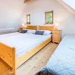 Hotel Hotel Pavlov 3*