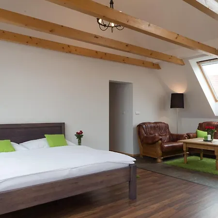Hotel Pavlov 3*