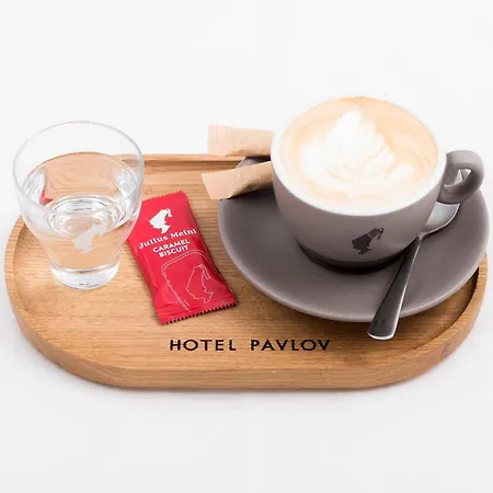 Hotel Pavlov 호텔 3*