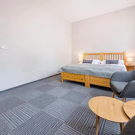 Hotel Hotel Pavlov 3*