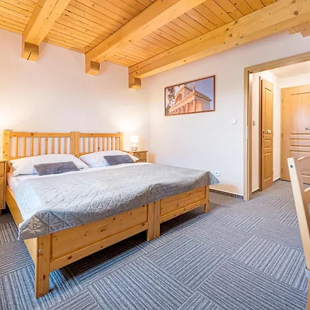 Hotel Pavlov 3* Pavlov