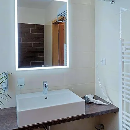 Hotell Hotel Pavlov 3*