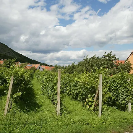 Hotel Pavlov Szálloda