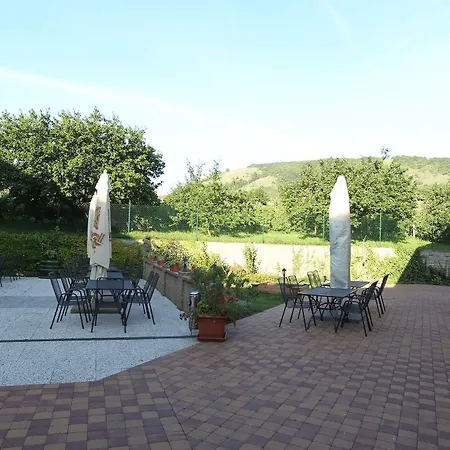 Hotel Pavlov 3*