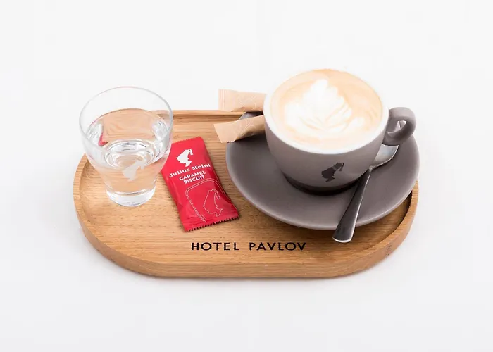 Hotel Pavlov Hotel 3*