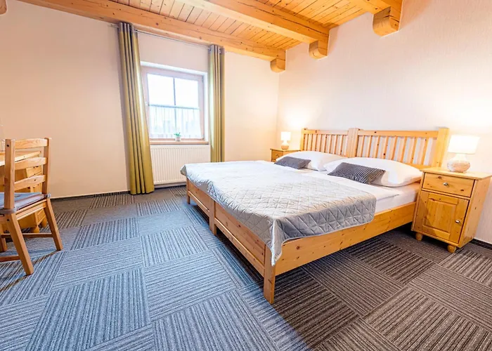 Hotel Hotel Pavlov 3*