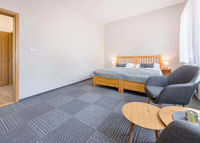 Hotel Hotel Pavlov 3*