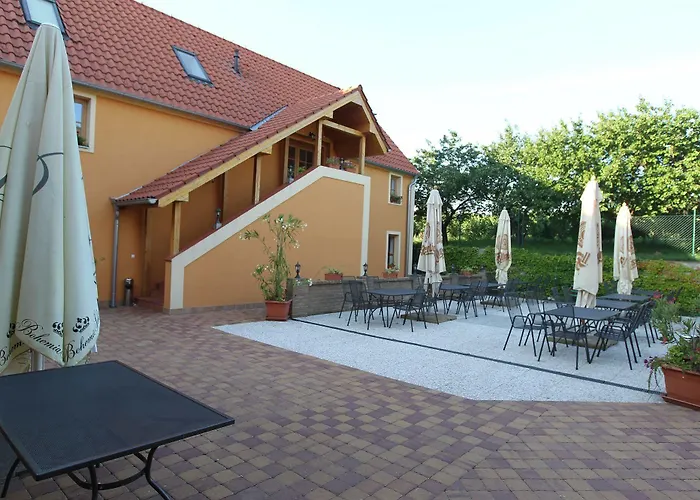 Hotel Pavlov 3*